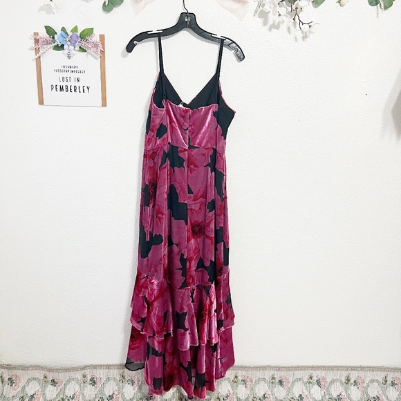 NWT Hutch Royce Floral High Low Velvet Burnout Dress - Picture 6 of 9